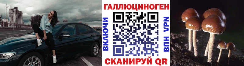 дарнет шоп Разумное Псилоцибиновые грибы прущие грибы